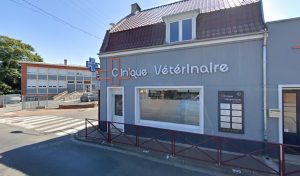 Clinique vétérinaire de Leforest à Leforest