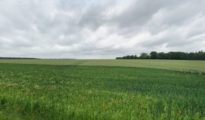 Perrotte Jacques à Hermanville